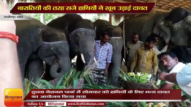 दुधवा नेशनल पार्क में सोमवार को हाथियों के लिए भव्य दावत का आयोजन किया गया