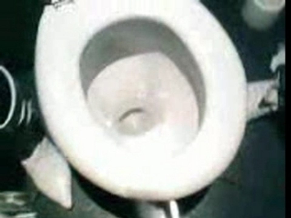 Haha (1)