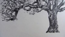 Comment dessiner un arbre raconté étape par étape