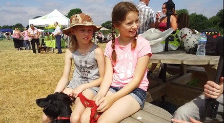 Family Fun at Birmingham Dogs Home