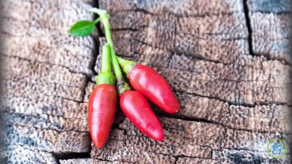 Eat More Hot Chili Peppers