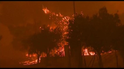 Fogos avançam nos arredores de Atenas