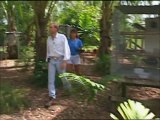 Wild Animal Rescues S01E01 Pesky Critters, Hanging Horse, Dolphins