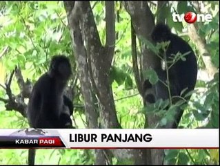 Menikmati Keindahan Pantai Monyet di Jember