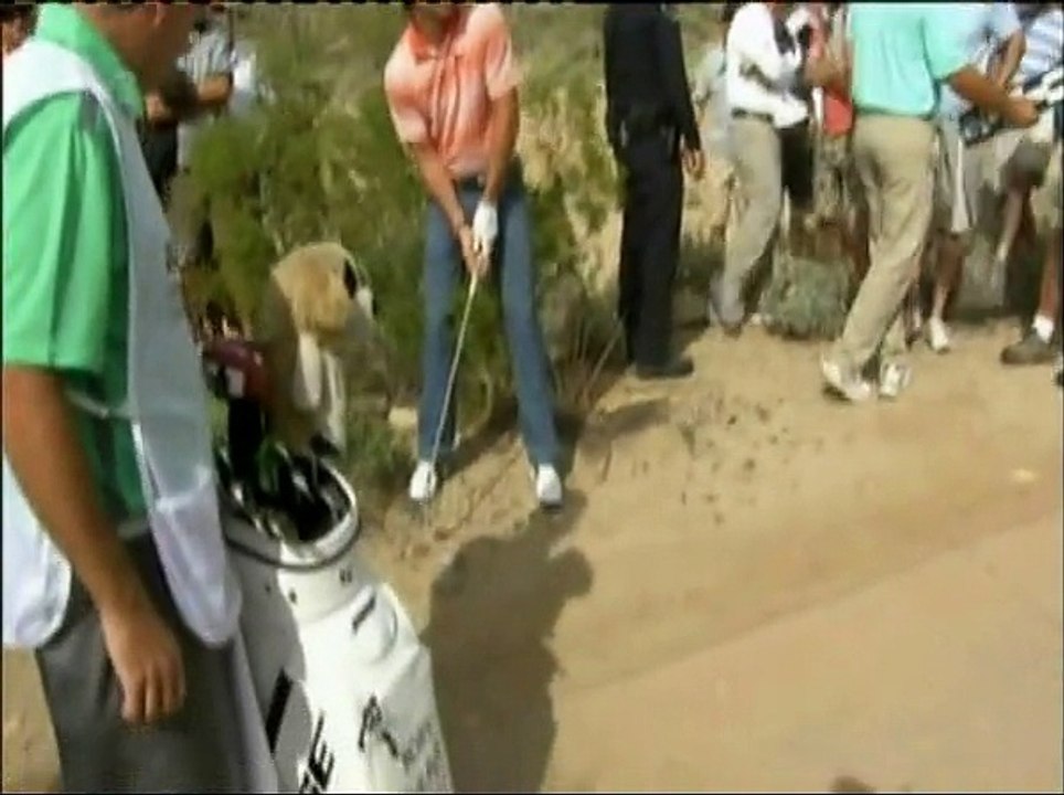 Various Sports Bloopers/Accidents