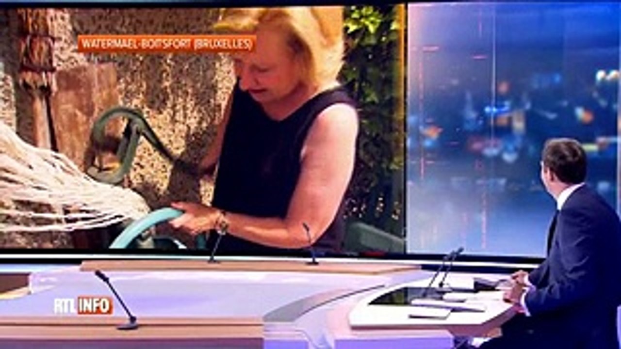 Les oiseaux aussi ont soif et vous pouvez les aider !
