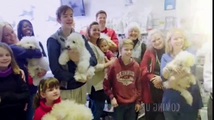 Vet on the Hill S02  E08 E 8 - Part 02