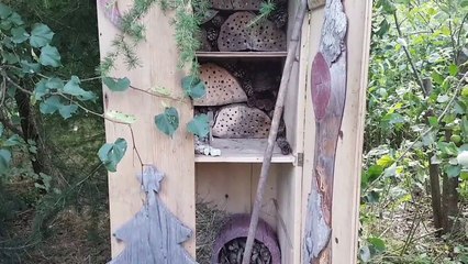 Wspomoz insekty to wazne%21