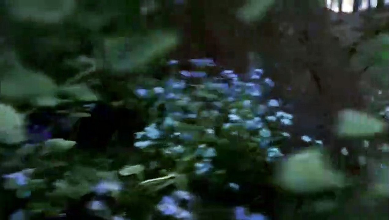 Emmerdale 23rd July 2018 -- Emmerdale 23 July 2018 -- Emmerdale July 23, 2018 -- Emmerdale 23-07-2018 -- Emmerdale 23-July- 2018 -- Emmerdale 23rd July 2018