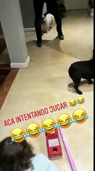 Pedro, OLI, BALTA y Paula divirtiéndose en familia 1 - 18 de Julio