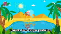 Las Mejores Canciones de 2ª Temporada de Dinosaurios |  Recopilación | Pinkfong Canciones