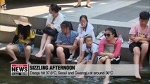 S. Korea sees hottest morning temperatures in 111 years