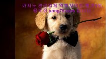 메이저토토 ※【【 yong79。ＣOM 】】※ 놀이터사이트