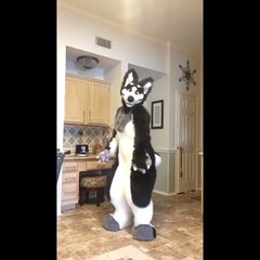 Mascot Dance - MASCOT VUI NHỘN 0903481013