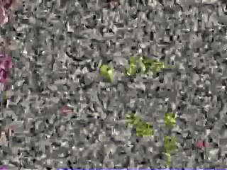 Klasky Csupo EXTREMELY BAD TRIP (Kids Edition)