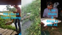 Cần thủ Nguyễn Duy Hải | Cận cảnh bắt được cá chép khủng của Phạm Huấn | hội câu cá Tuyên Quang