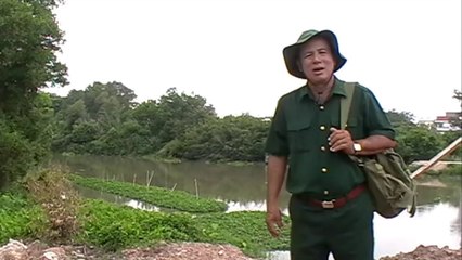 [Ca Cổ] Khúc Tình Ca - Đức Tài - Bông Lúa Vàng 1993