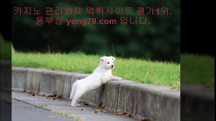 사설토토사이트 ◈【【 yong79。ＣOM 】】◈ 스포츠토토