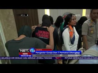 Petugas Menangkap Pengedar dan Konsumen Ganja - NET 24