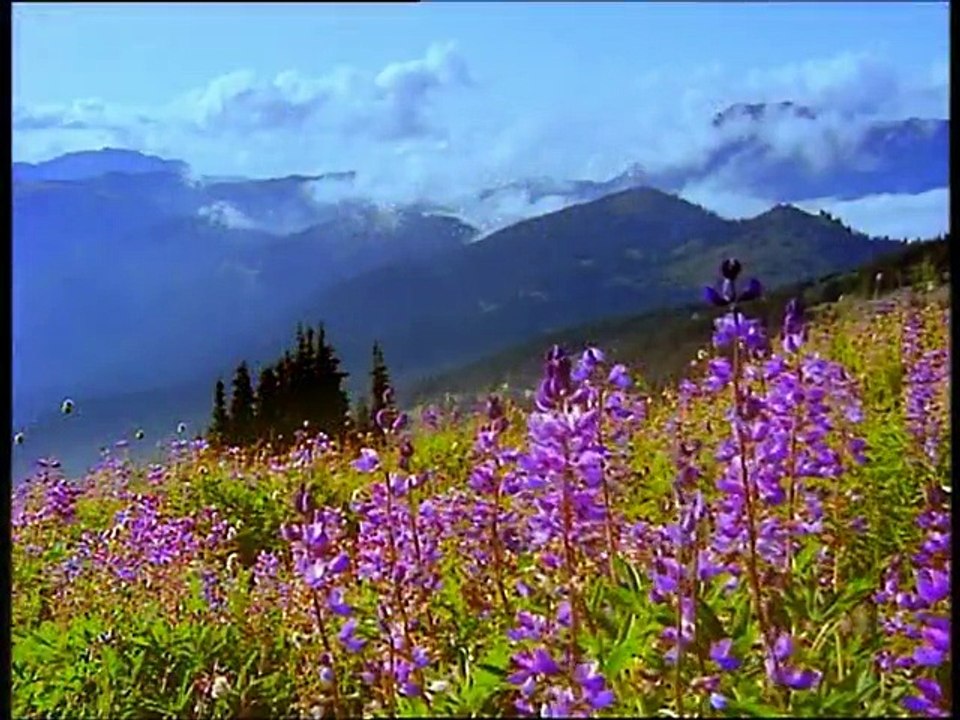 Great National Parks Of The World - Lands of Wonder - Europe To Africa (2000) part 1/2