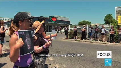 Vegan activism: What's the beef?