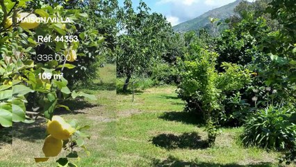 A vendre - Maison/villa - OLETTA (20232) - 5 pièces - 108m²