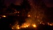 그리스 아테네 주변 폭염 속 산불 확산...사망자 속출 / YTN