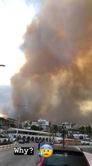 Το βίντεο του Σωτήρη Νίνη από τις πυρκαγιές