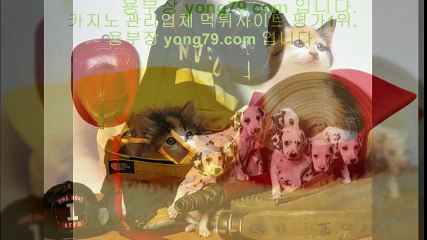 온라인토토 ▤【【 yong79。ＣOM 】】▤ 안전놀이터