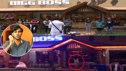 Bigg Boss Season 2 Telugu : Episode 44 Highlights