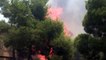 50 قتيلا على الاقل في الحرائق في اليونان