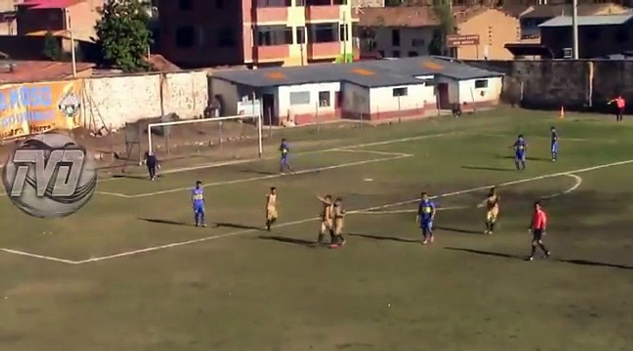 VAR version 0.1 in peruvian league