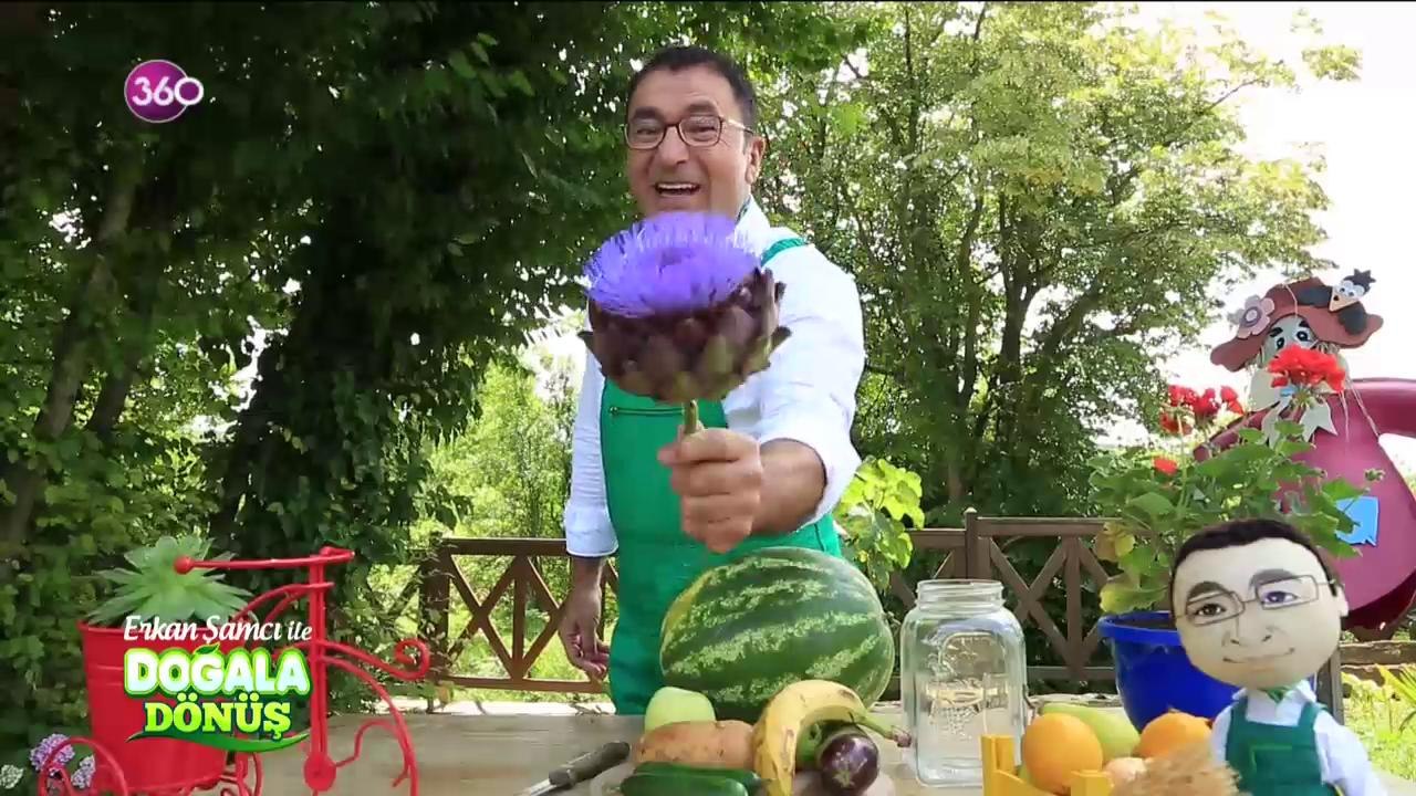 Doğala Dönüş