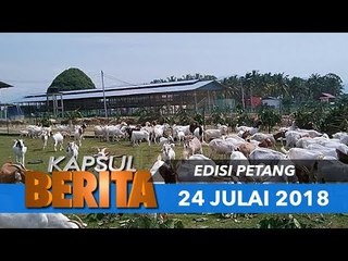 KAPSUL BERITA EDISI PETANG