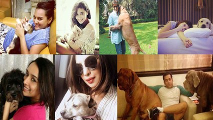Salman Khan, Anushka Sharma, Alia Bhatt के अलावा इन stars के ये हैं Favorite Pets | Boldsky