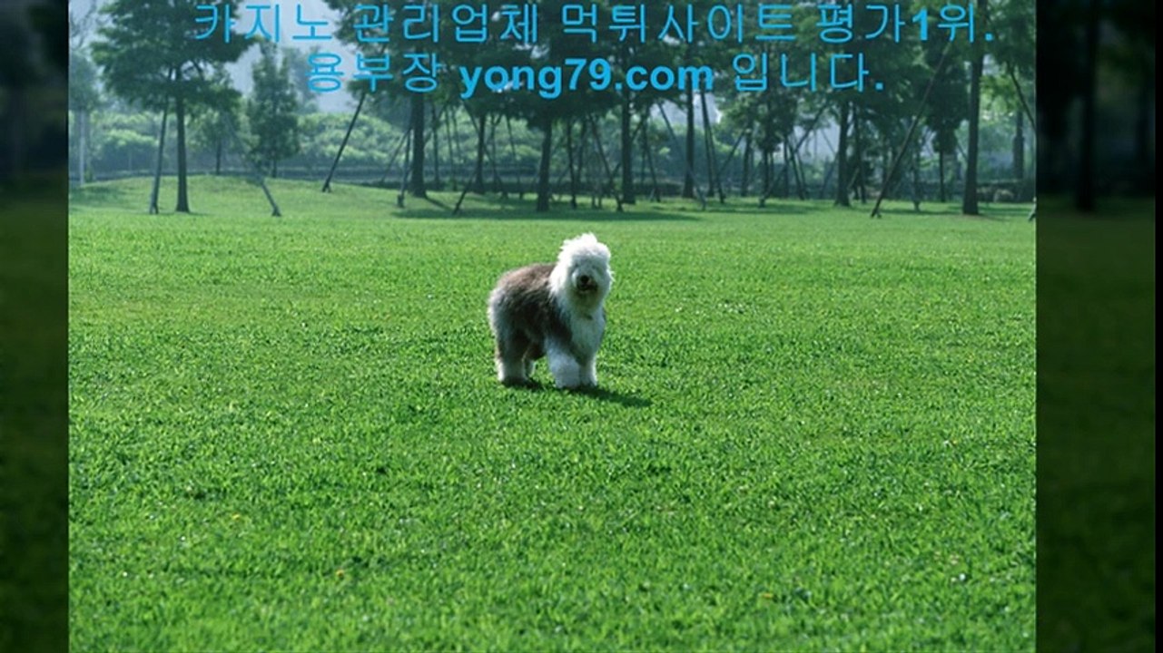 놀이터토토 ▤【【 yong79。ＣOM 】】▤ 놀이터토토