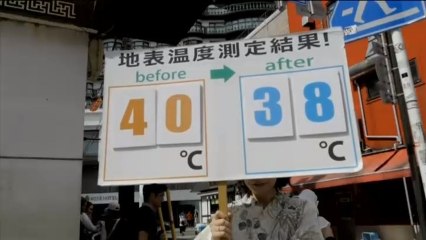 Más de 65 muertos por culpa de la ola de calor que sacude Japón