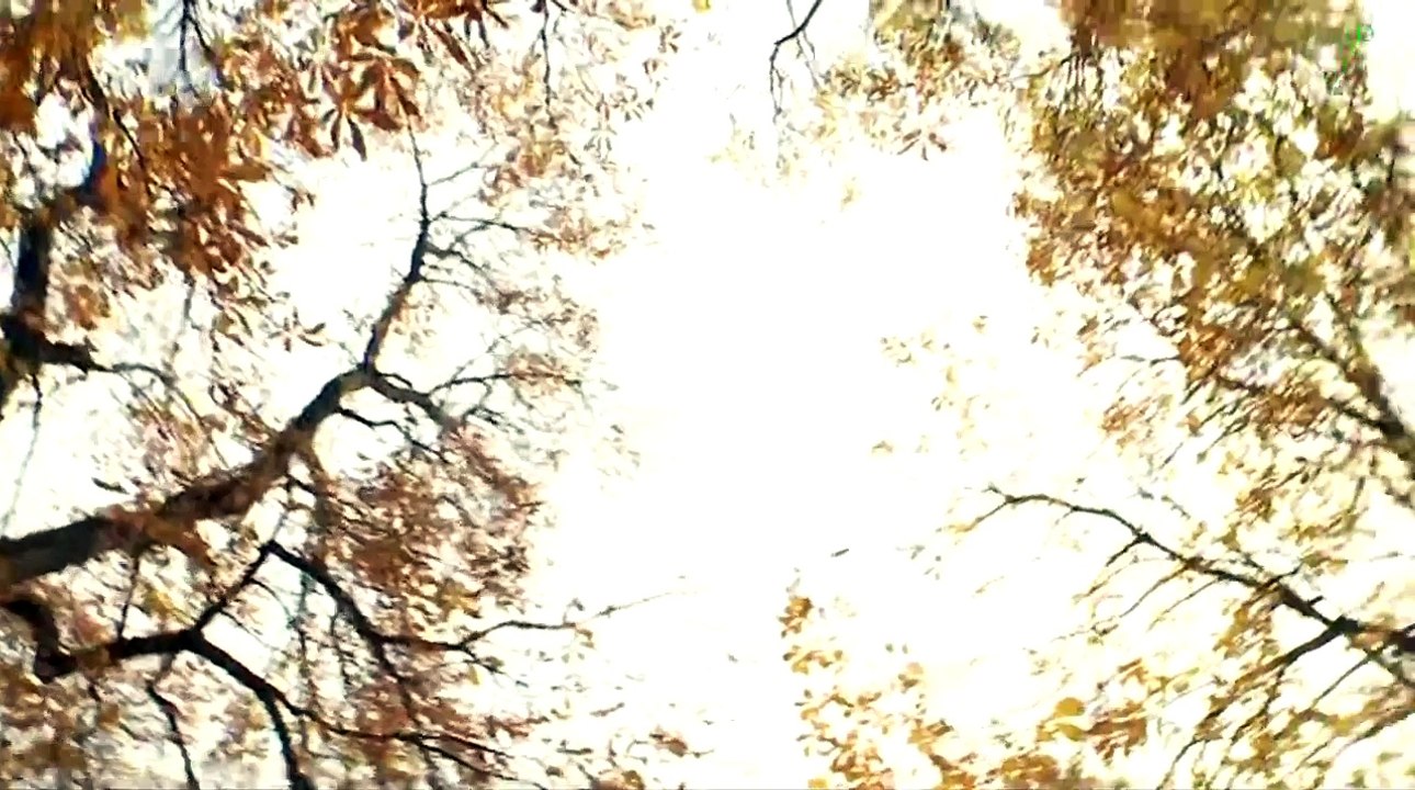 Krv nije voda - Obitelj Dokić