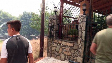 Grèce : plus de 50 morts à cause des incendies déclarés le 23 juillet