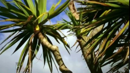 50 Ways to Kill Your Lover S01 - Ep04 Sleep TightTake The PlungeBad... HD Watch