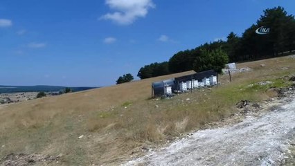 Köylüyü Lavanta Balı Kurtaracak