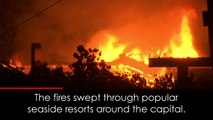 At least 50 dead as wildfires spread in Greece