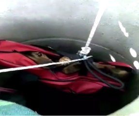 Kanalizasyon Kanalına Düşen Köpek Böyle Kurtarıldı