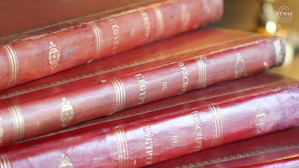 [Trésors du Sénat] Le meuble  égyptien et les 23 volumes de " La Description de l'Égypte"