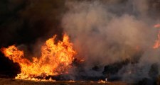 Yunanistan'ın Başkenti Atina'daki Orman Yangını Kontrol Altına Alınamıyor