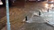 Meteoroloji İstanbulluları Uyardı, Caddeler Sular Altında Kaldı