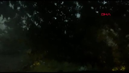 Tekirdağ - Çorlu'da Doğlu Yağışı; Ahır Çöktü, Hayvanlar Telefo Oldu