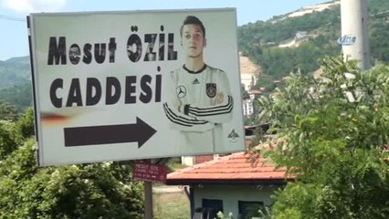 Alman Milli Takımı'nı Bırakan Özil'e Hemşehrilerinden Destek