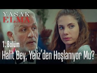 Halit Bey, Yıldız'dan hoşlanıyor mu? - Yasak Elma 1. Bölüm
