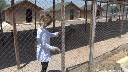 Veterinerden Hayvanlar İçin 'Su' Uyarısı